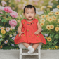 Coral muslin baby jabla frock with bee print and front open button style – Sri Thulir Tex